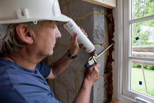 Best Basement Insulation  in , IN